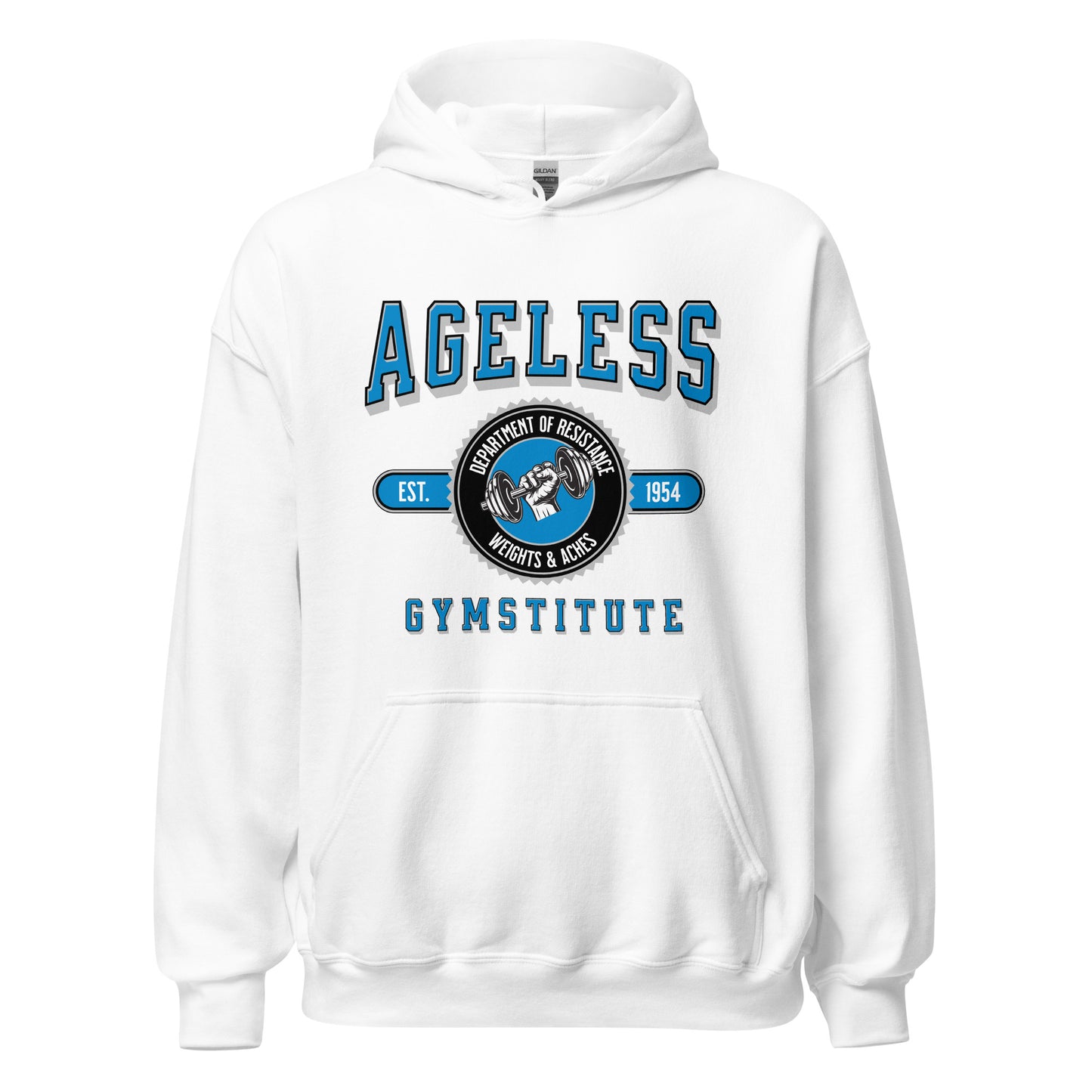 Ageless Gymstitute: Weights and Aches Unisex Hoodie