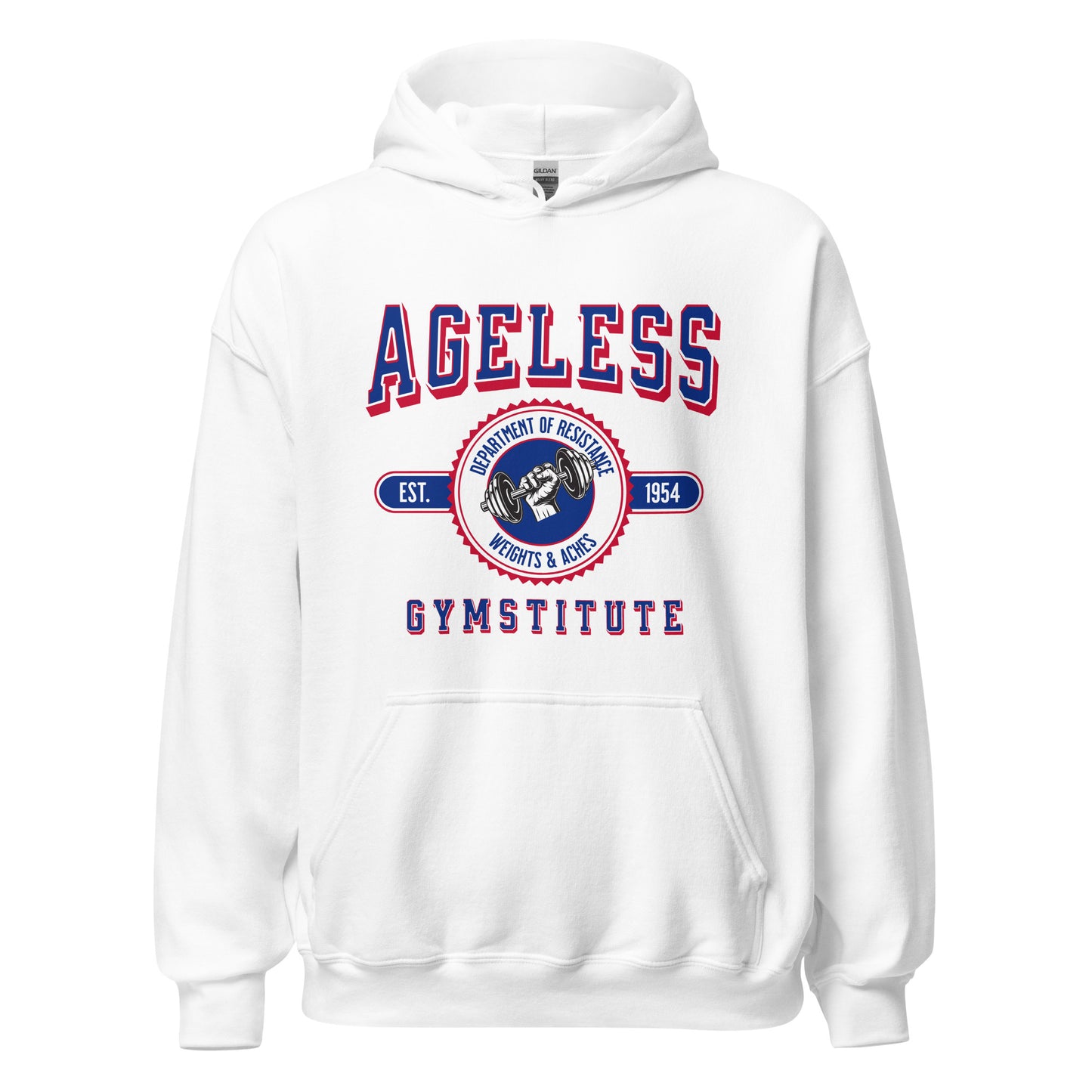 Ageless Gymstitute: Weights and Aches Unisex Hoodie
